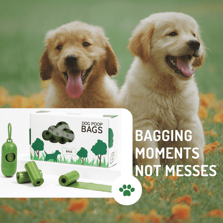 The Ultimate Guide to Eco-Friendly Dog Waste Management - 4FurBaby