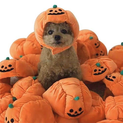 Adorable Pet Halloween Pumpkin Hat - Add Festive Fun to Your Pet - 4FurBaby