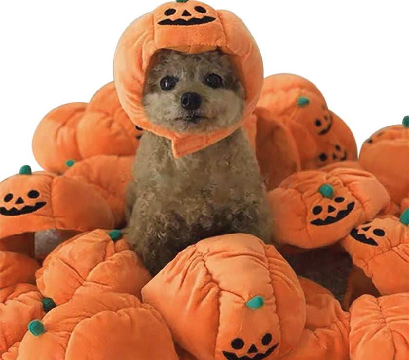 Adorable Pet Halloween Pumpkin Hat - Add Festive Fun to Your Pet - 4FurBaby