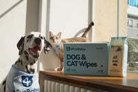 Bamboo Pet Wipes Dog & Cat Cleaning and Odor - Controlling Grooming Wipes - Biodegradable, Gentle, and Soothing - 4FurBaby