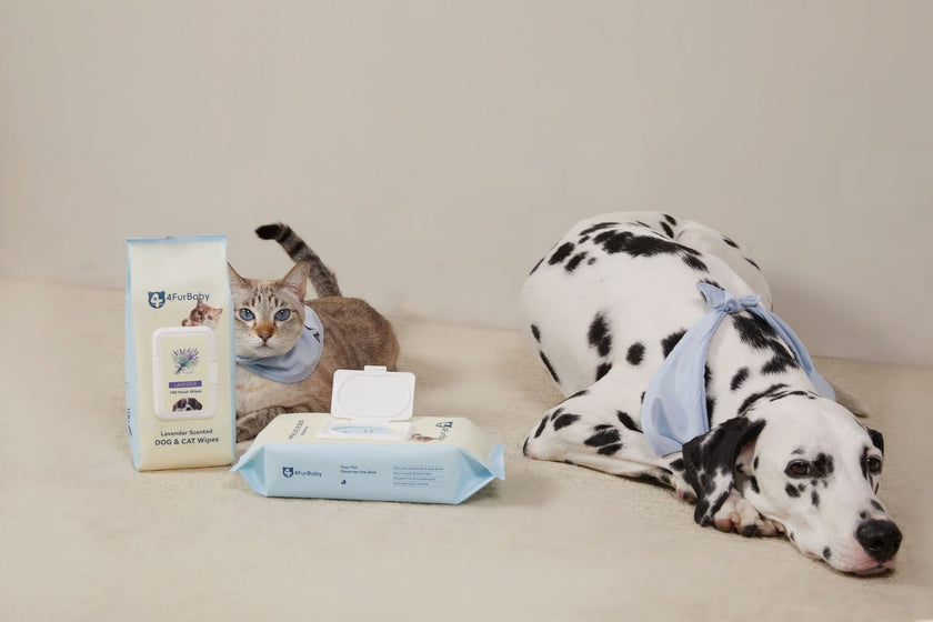 Bamboo Pet Wipes Dog & Cat Cleaning and Odor - Controlling Grooming Wipes - Biodegradable, Gentle, and Soothing - 4FurBaby