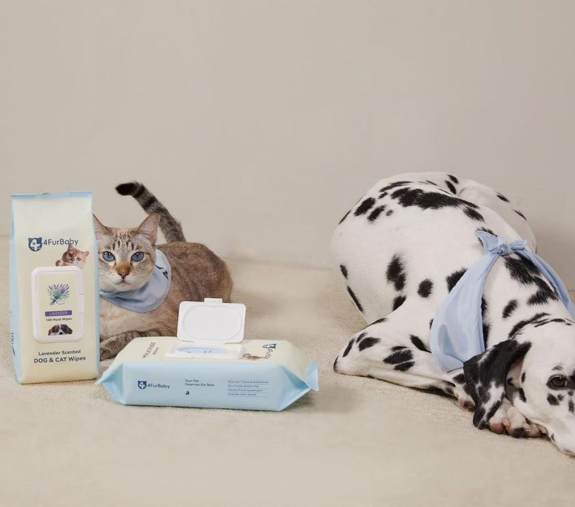 Bamboo Pet Wipes Dog & Cat Cleaning and Odor - Controlling Grooming Wipes - Biodegradable, Gentle, and Soothing - 4FurBaby