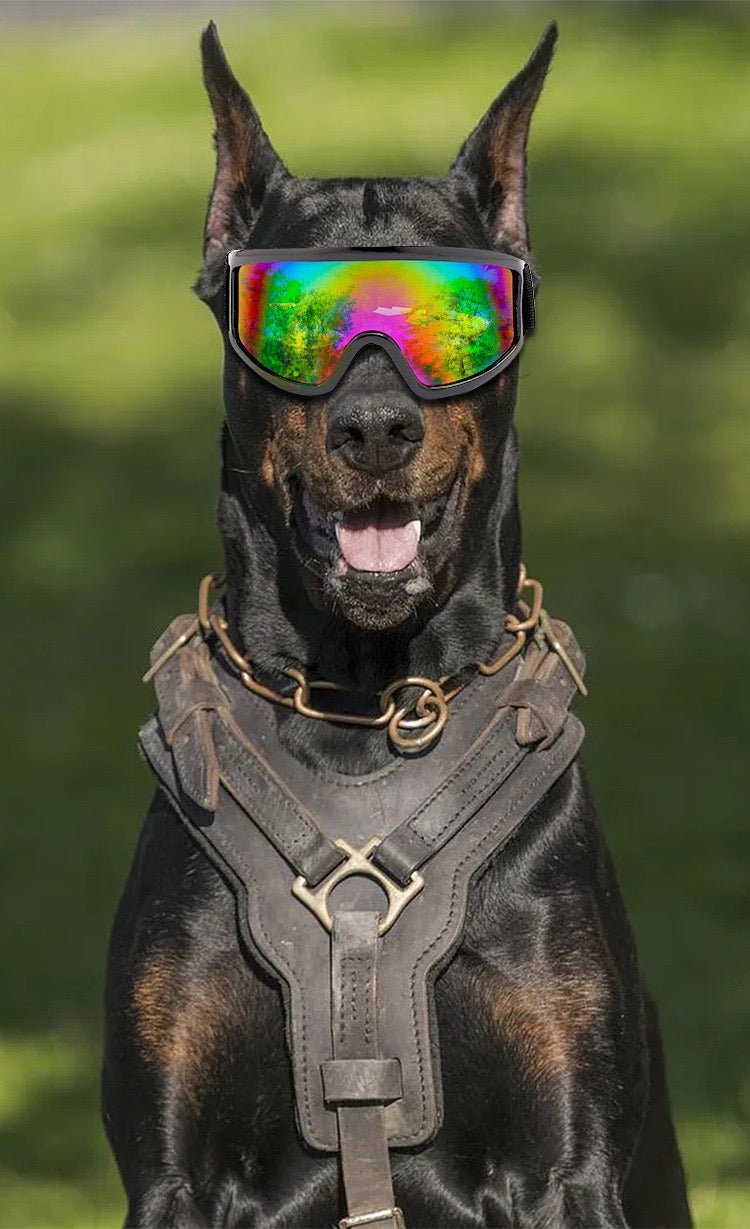 Waterproof Windproof Sunglasses for Medium to Large Dogs