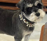 Elegant Pet Pearl Collar - Make Your Pet Shine - high - quality faux pearls with silver decorative chain - 4FurBaby