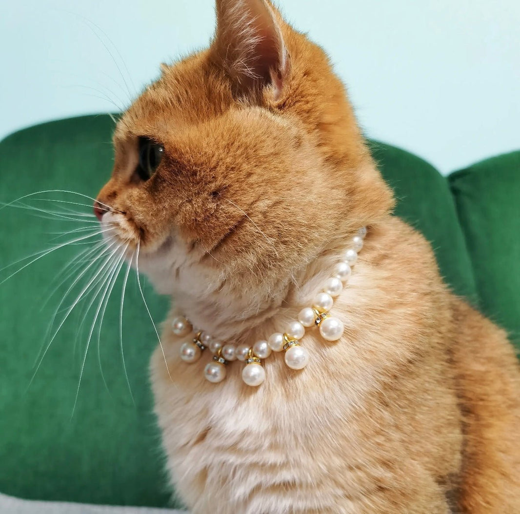 Elegant Pet Pearl Collar - Make Your Pet Shine - high - quality faux pearls with silver decorative chain - 4FurBaby