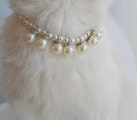 Elegant Pet Pearl Collar - Make Your Pet Shine - high - quality faux pearls with silver decorative chain - 4FurBaby