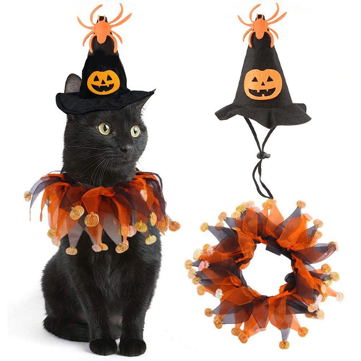 Halloween Pet Pumpkin Hat and Collar Set - Skull Pattern Cat Accessory - 4FurBaby