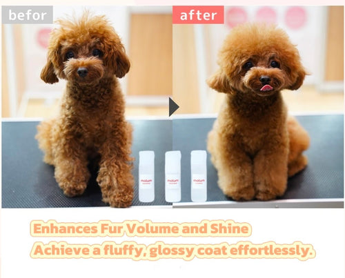 Molum Ultimate Pet Grooming Set - Shampoo, Treatment, and Essence for Fluffy and Shiny Coats - 4FurBaby