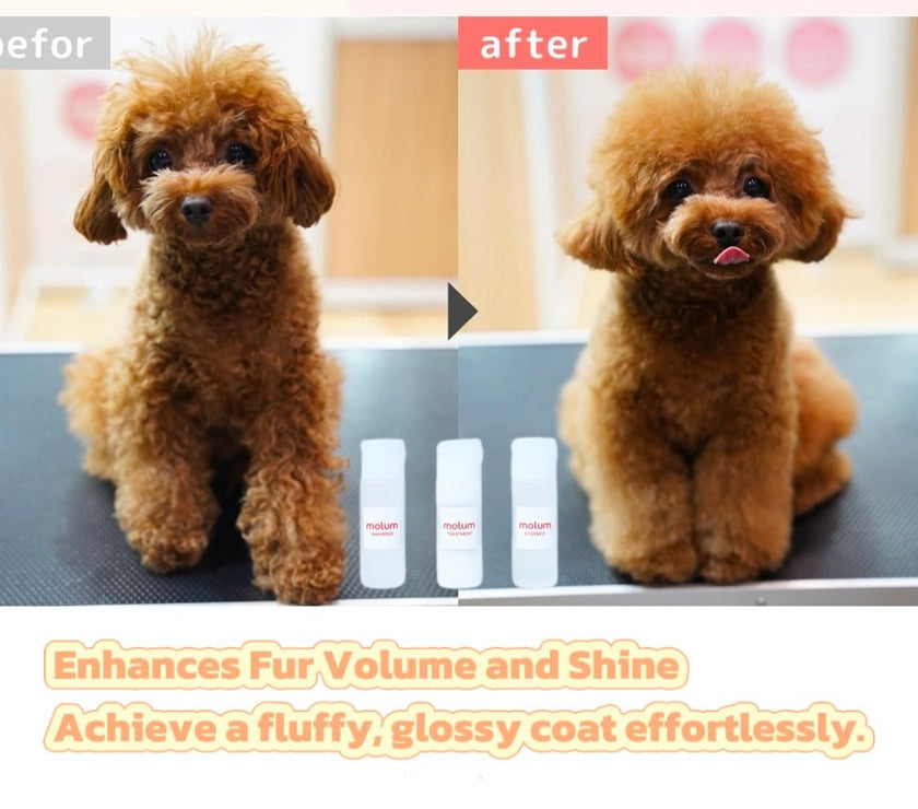 Molum Ultimate Pet Grooming Set - Shampoo, Treatment, and Essence for Fluffy and Shiny Coats - 4FurBaby