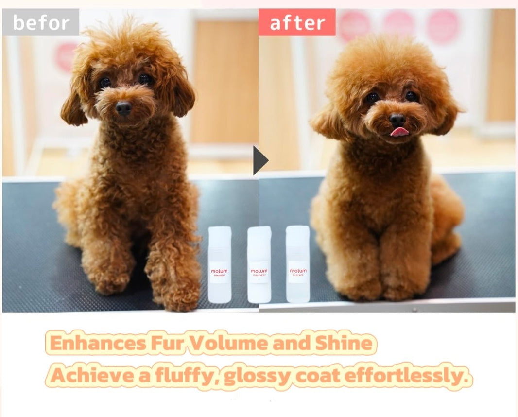 Molum Ultimate Pet Grooming Set - Shampoo, Treatment, and Essence for Fluffy and Shiny Coats - 4FurBaby