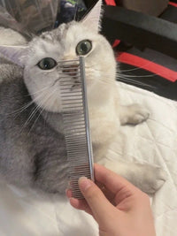 Pet Anti - Static Stainless Steel Comb - Small 3✖️16cm - 4FurBaby