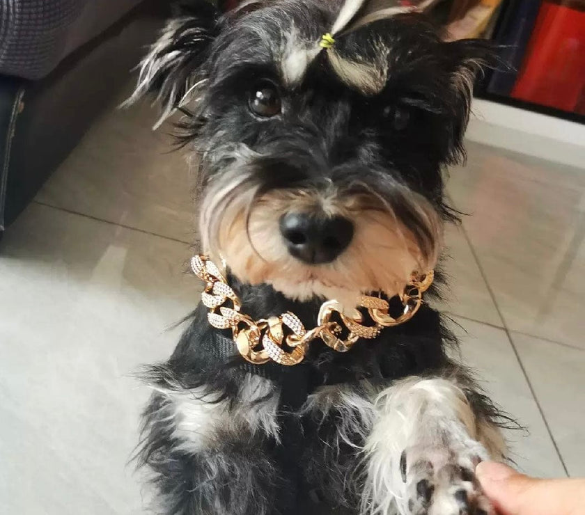 Pet Necklace for French Bulldogs, Pugs, and Teddy Bear Dogs - Stylish Gold Chain Collar for Small to Medium Breeds - 4FurBaby