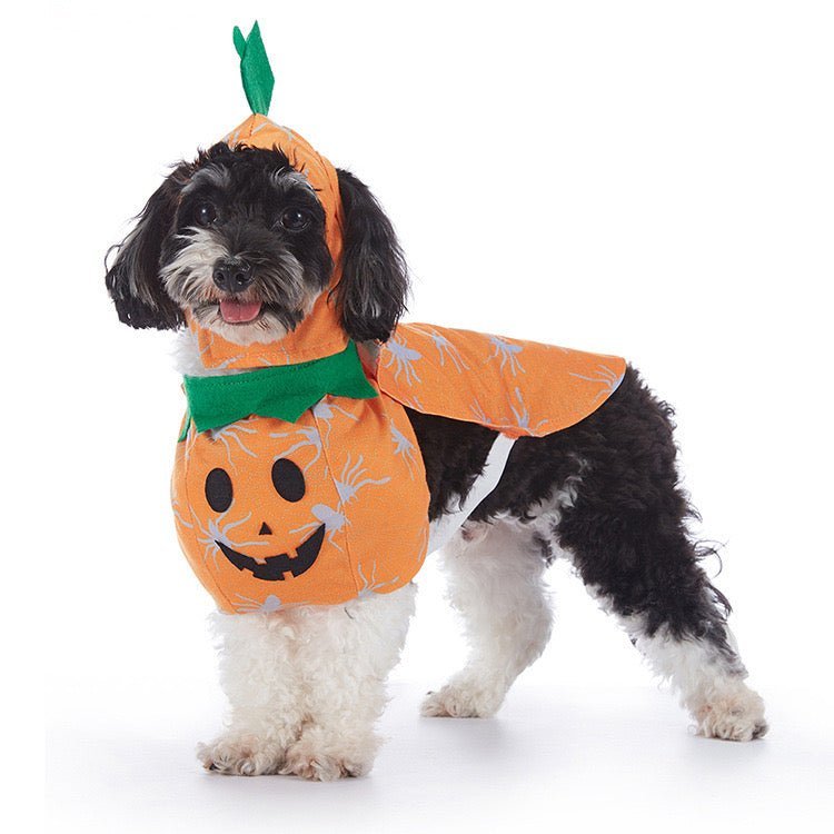 Pet Party Costume - Funny Cartoon Bat and Pumpkin Outfit for Small Dogs - 4FurBaby