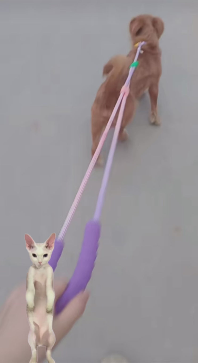 colorful dog leash 4furbaby