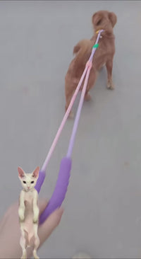 colorful dog leash 4furbaby