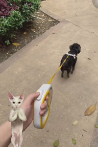 Automatic Pet Walking Leash with Colorful Breathing Light 4furbaby 